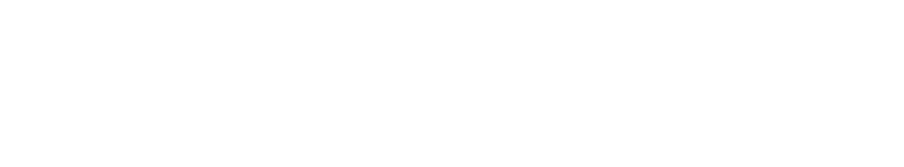 cids zih logo